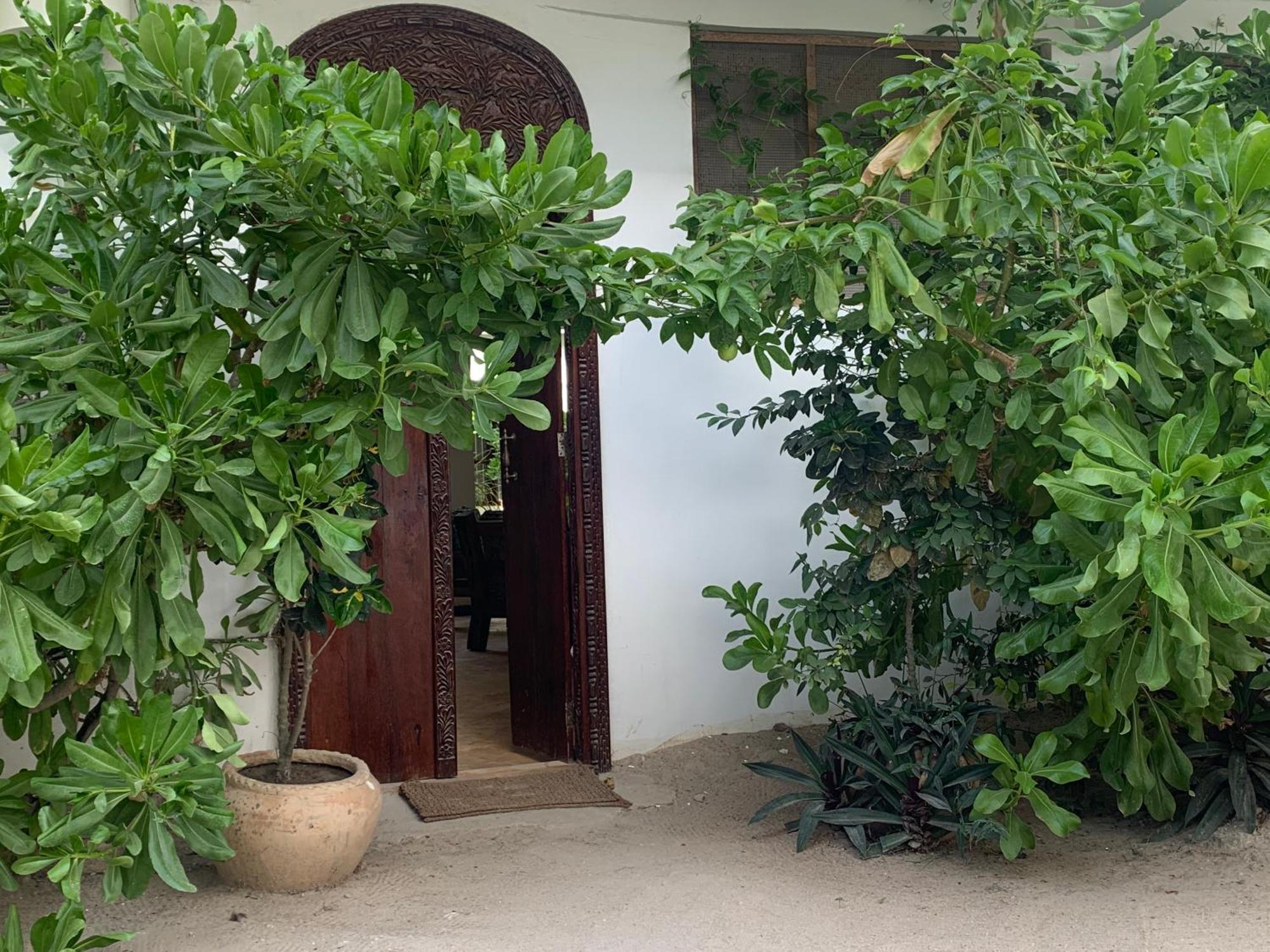 Nungwi Retreat ナングウィ エクステリア 写真